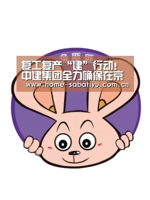 复工复产“建”行动!中建集团全力确保在京重点项目安全有序推进‘沙巴体育app’(图2) 沙巴体育官网