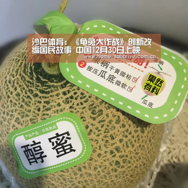 沙巴体育
