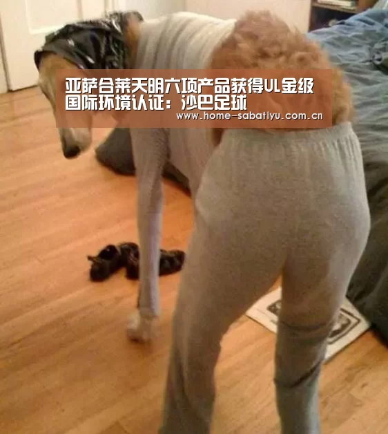亚萨合莱天明六项产品获得UL金级国际环境认证:沙巴足球(图1) 沙巴体育官网