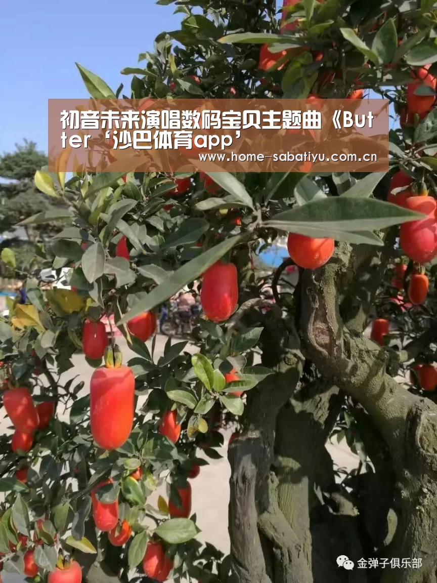 沙巴足球