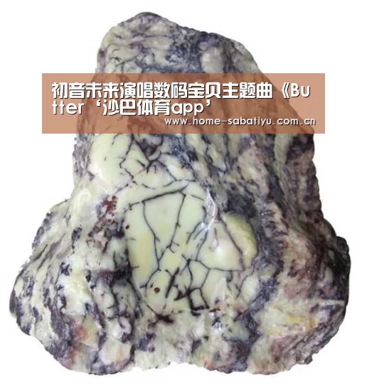 沙巴体育