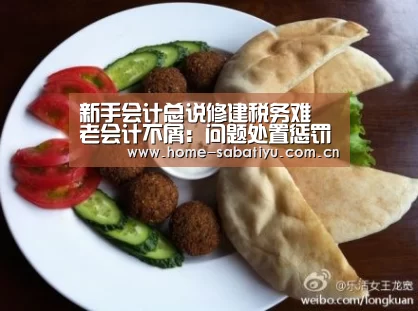 新手会计总说修建税务难 老会计不屑:问题处置惩罚+分录 一文搞定-沙巴体育官网(图1) 沙巴体育官网