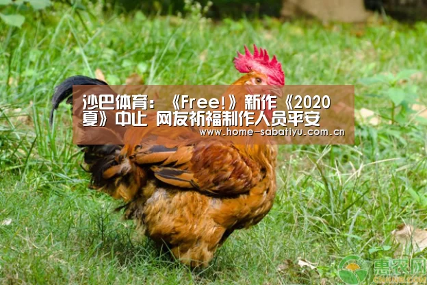 沙巴体育:《Free!》新作《2020夏》中止 网友祈福制作人员平安(图2) 沙巴足球
