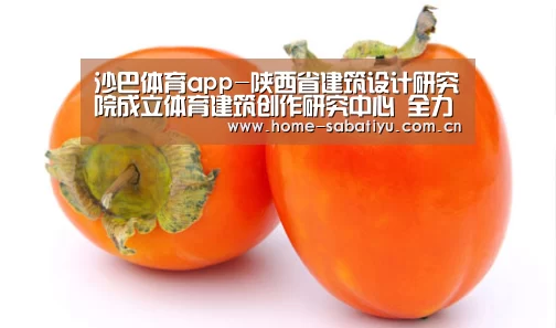 沙巴体育app-陕西省建筑设计研究院成立体育建筑创作研究中心 全力以赴服务第十四届全国运动会(图3) 沙巴足球