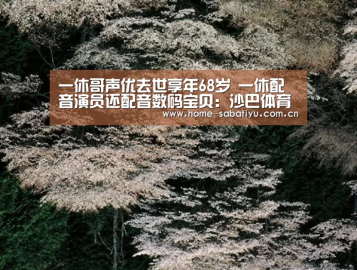 沙巴体育